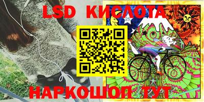 прущие грибы Лесосибирск
