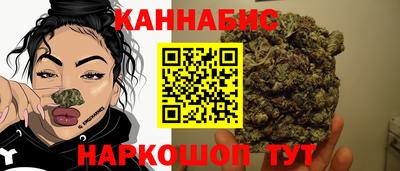 прущие грибы Лесосибирск